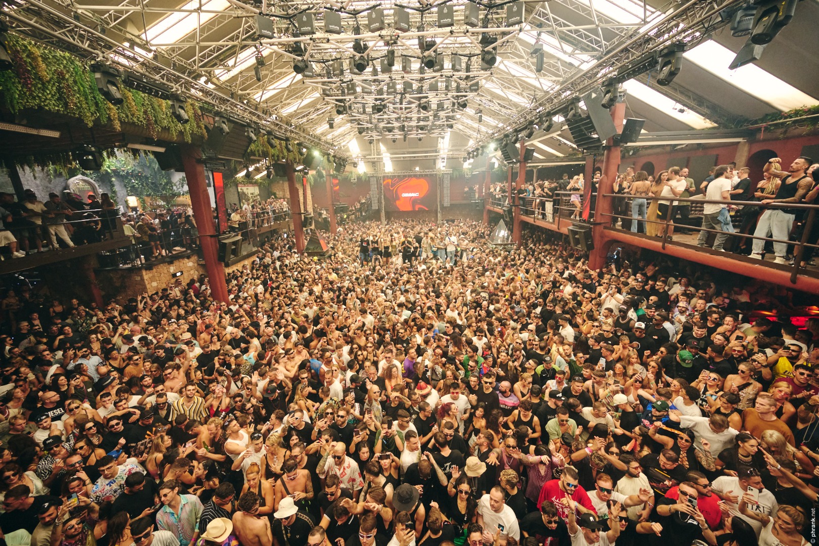 Amnesia, Club night